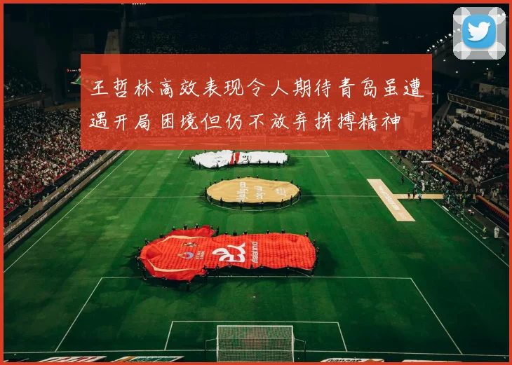 王哲林高效表现令人期待青岛虽遭遇开局困境但仍不放弃拼搏精神