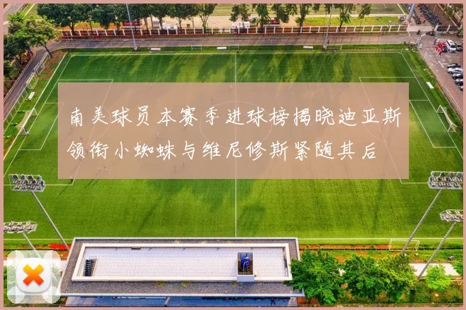 南美球员本赛季进球榜揭晓迪亚斯领衔小蜘蛛与维尼修斯紧随其后