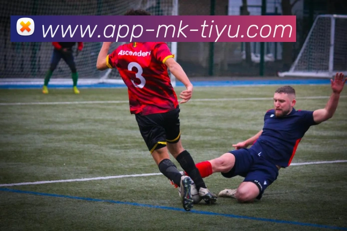 多媒体互动体验