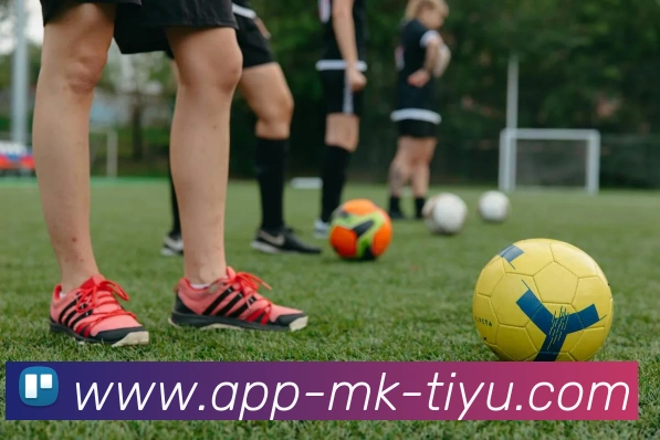 MK体育APP 高清赛事图
