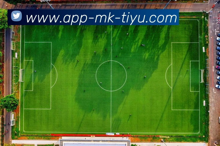 数据防护可视化